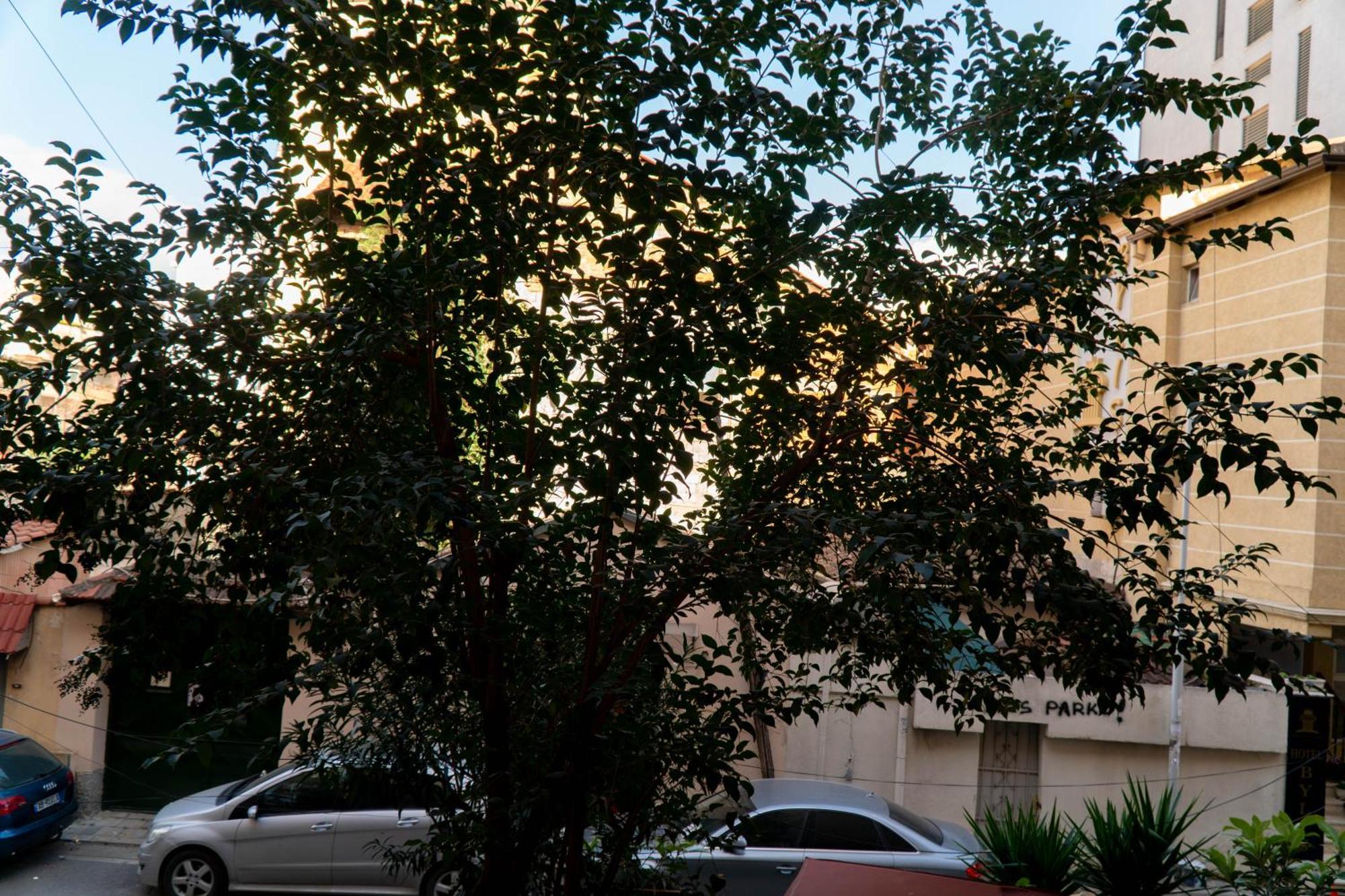 Signature Apartment 8 Tirana Exterior foto